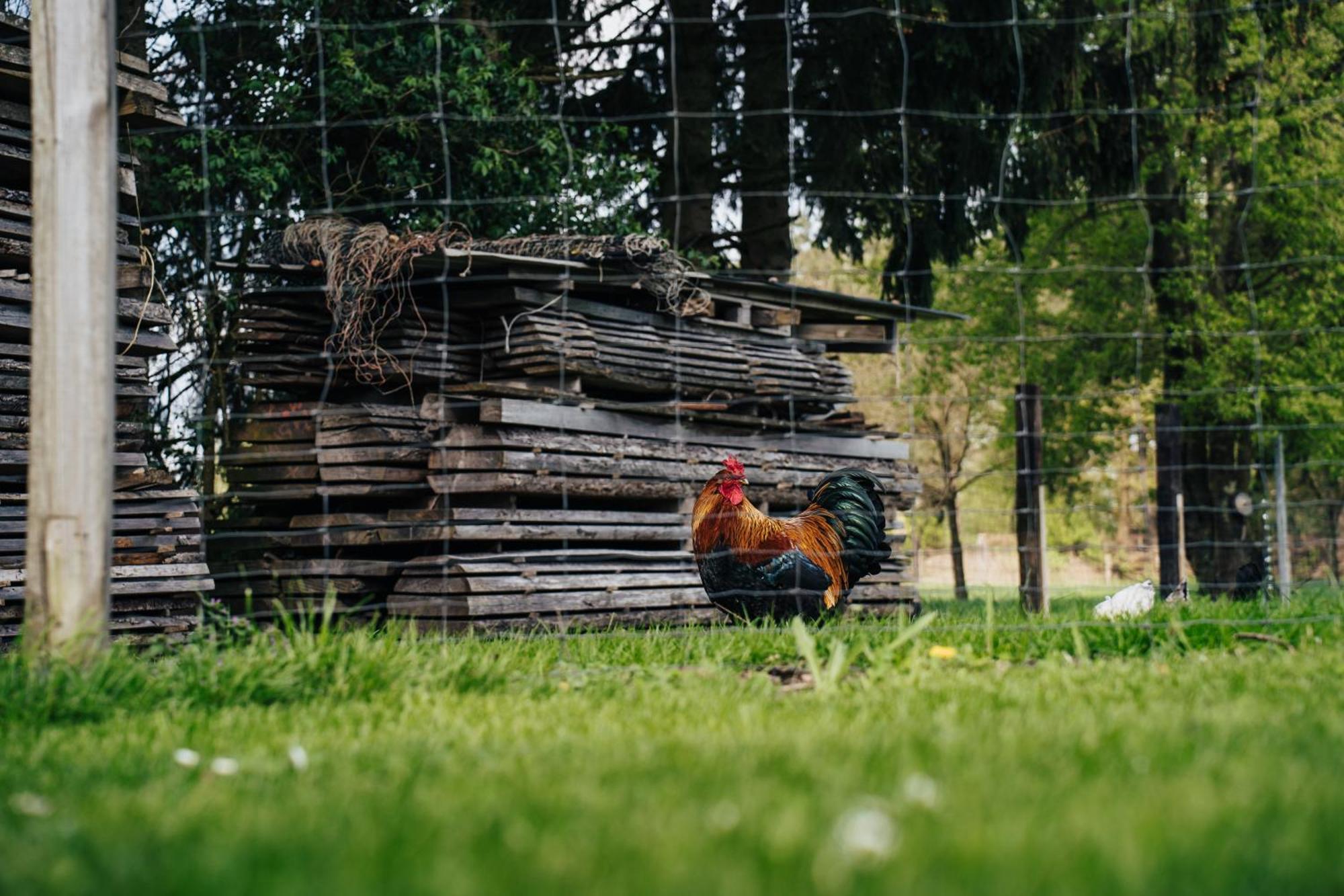 Ferienhaus Getreidesilo Schneverdingen Dış mekan fotoğraf